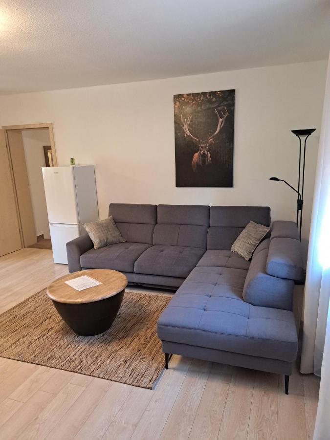 Hof Helmenhube 2 Apartment Gammelsbach ภายนอก รูปภาพ